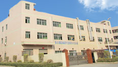 the factory of professional china mould maker, injection moulding company china